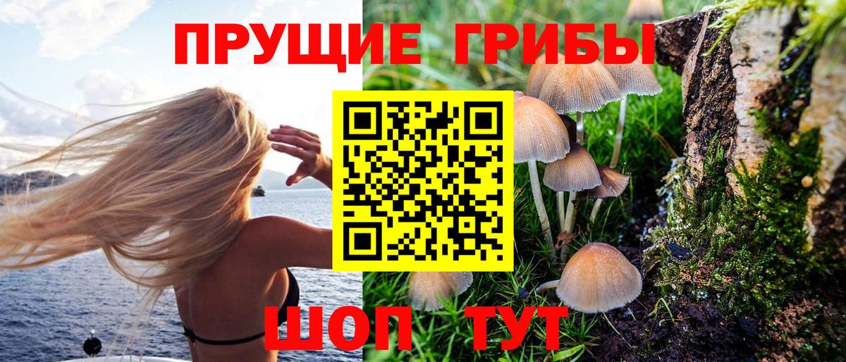 Псилоцибиновые грибы мухоморы Долгопрудный