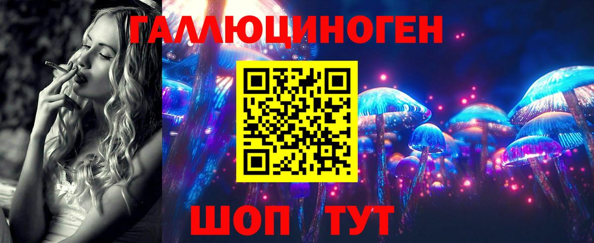 хочу наркоту  Галлюциногенные грибы Cubensis  Вход с VPN  Долгопрудный 